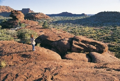 Palm Valley Safari by 4WD